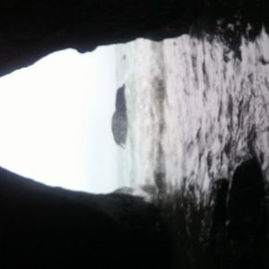 Meet your Posher, Bella